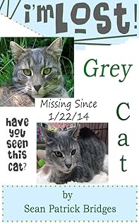 Grey Cat